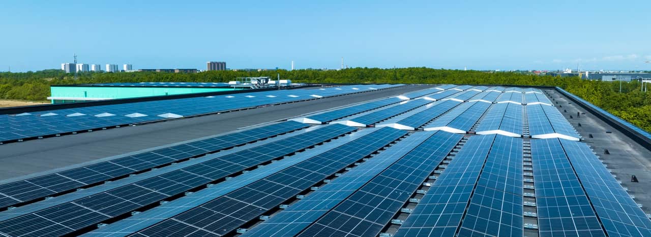 Video of two beekeepers on a roof.